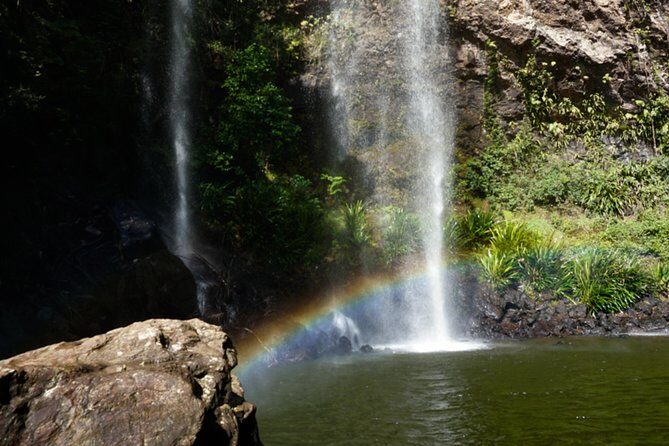 Glow Worms + Day/Night Rainforest & Waterfalls Experience - Value and Practicalities