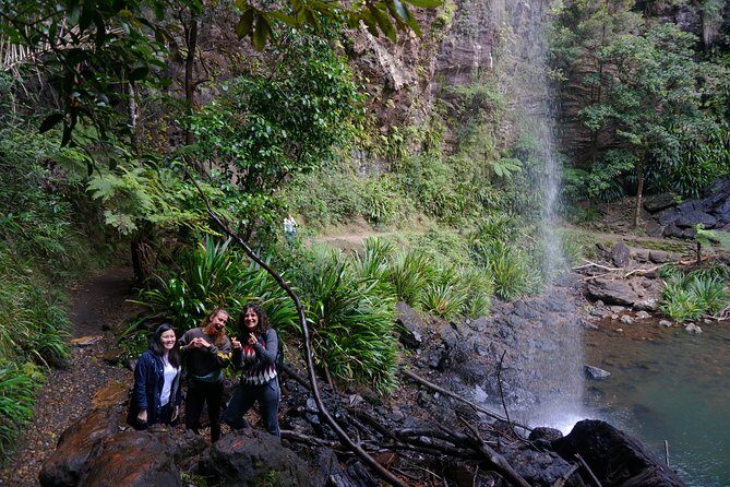 Glow Worms + Day/Night Rainforest & Waterfalls Experience - Authentic Encounters and Personal Touches