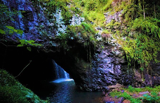 Glow Worms + Day/Night Rainforest & Waterfalls Experience - Who Will Love This Tour?