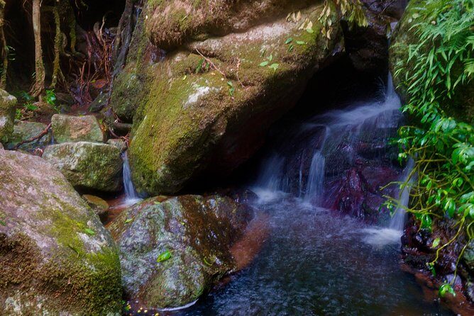 Glow Worms - Nocturnal Rainforest/Waterfall Adventure - FAQs
