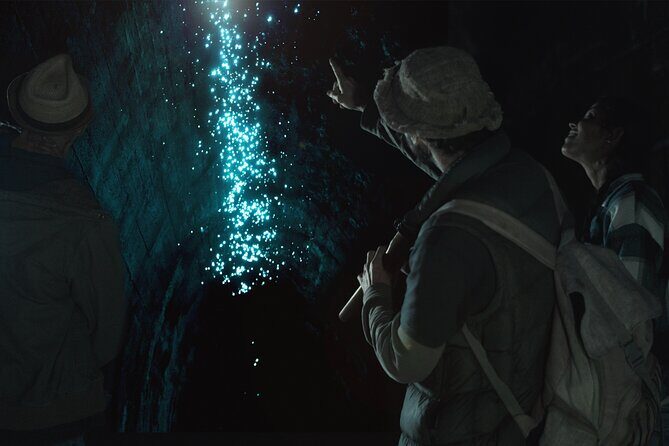 Glow-worms, Waterfalls & Rainforest Experience - Introduction