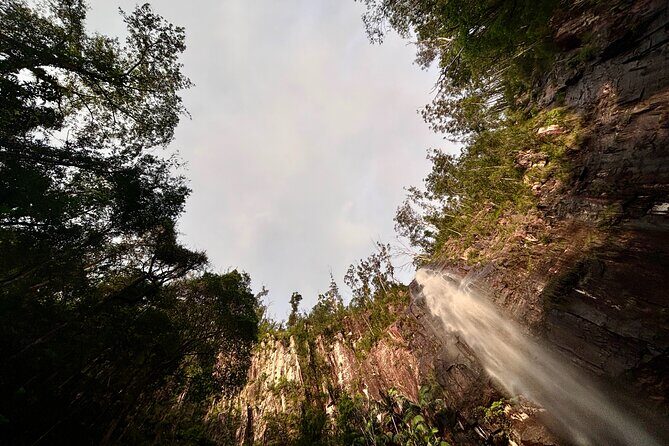 Glow-worms, Waterfalls & Rainforest Experience - Transportation, Duration, and Group Size