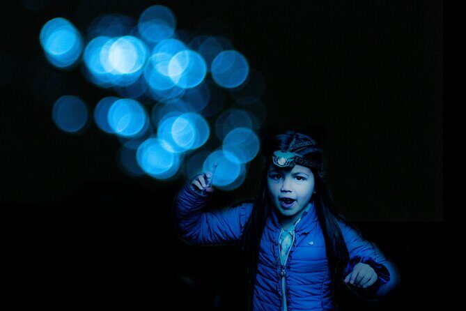 Glow-worms, Waterfalls & Rainforest Experience - The Experience’s Strengths and Possible Drawbacks