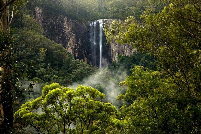 Glow-worms, Waterfalls & Rainforest Experience - Who Will Love This Tour?