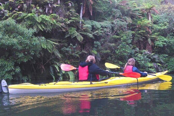 Glowworm Kayak Adventure on the Waikato River - Key Points