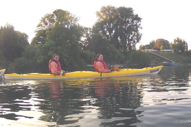 Glowworm Kayak Adventure on the Waikato River - Authentic Experiences and Authenticity
