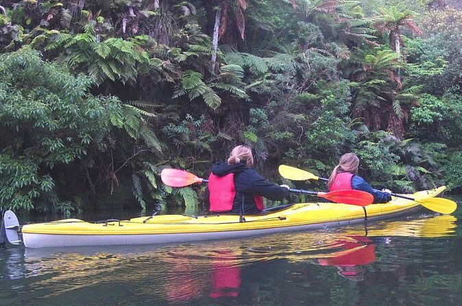 Glowworm Kayak Adventure on the Waikato River - What We Love & What to Consider