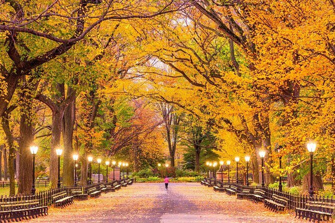 Gluten Free Walking Tour of Central Park NYC - Key Points