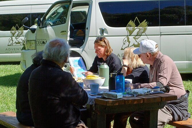 Go Caving & visit Castle Hill Rocks ex Lyttelton(Shore Excursion) - What to Expect from the Tour