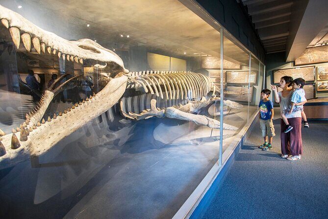 Go City: Boston Explorer Pass - Choose 2, 3, 4 or 5 Attractions - Practical Tips for Making the Most of Your Pass