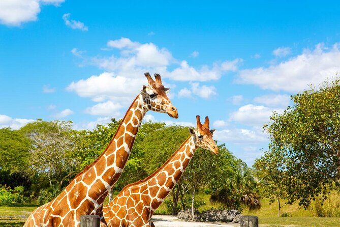 Go City: Miami Explorer Pass - Choose 2, 3, 4 or 5 Attractions - An Inside Look at the Miami Explorer Pass