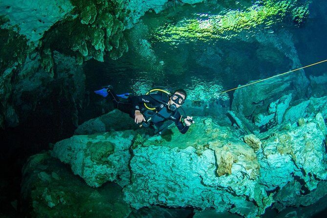 Go for 2 dives in cenote Dos ojos for certified divers - Who Should Consider This Tour