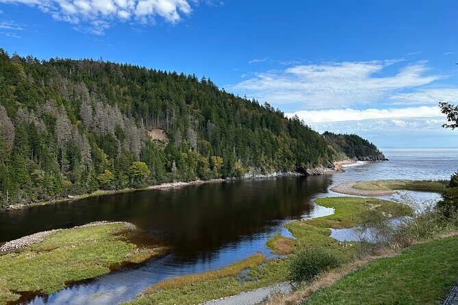 Go Fundy Tours - The Experience: What Travelers Can Expect