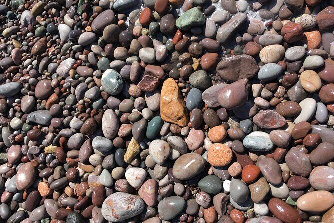 Go Fundy Tours - Who Should Book This Tour?