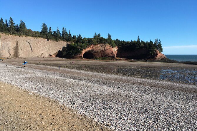 Go Fundy Tours - The Sum Up