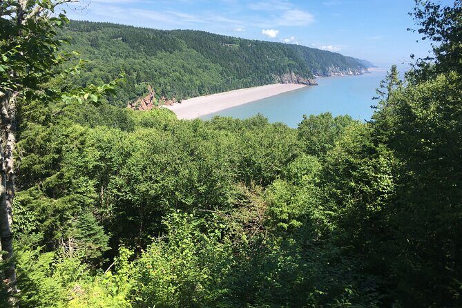 Go Fundy Tours - FAQ