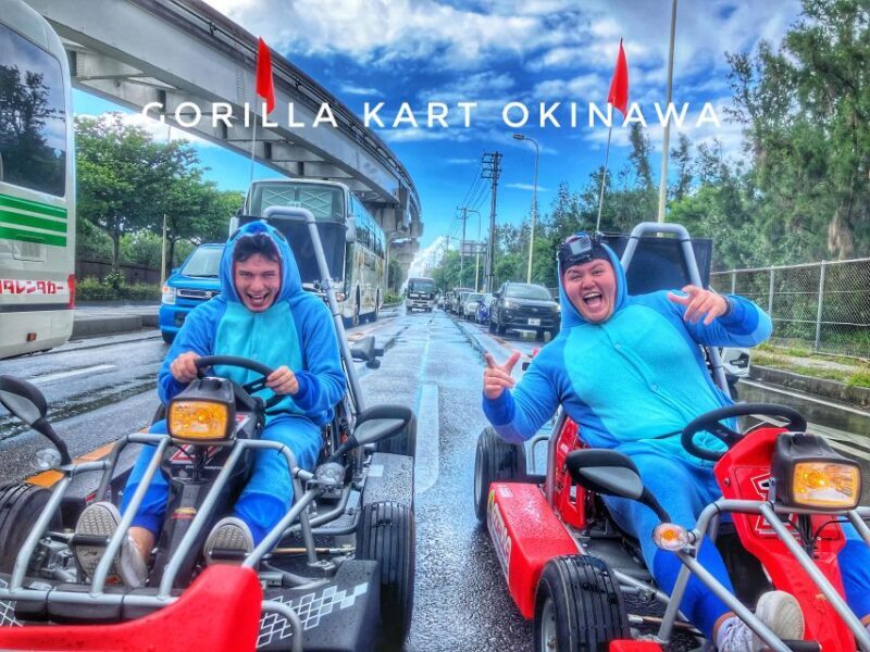 Go-kart Tour In Naha by GORILLA KART OKINAWA - The Sum Up