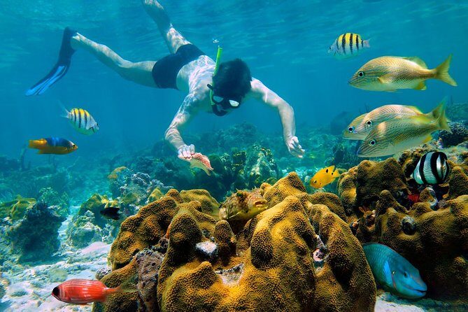 Go to Isla Mujeres In a catamaran with all inclusive from Cancun book now! - The Sum Up