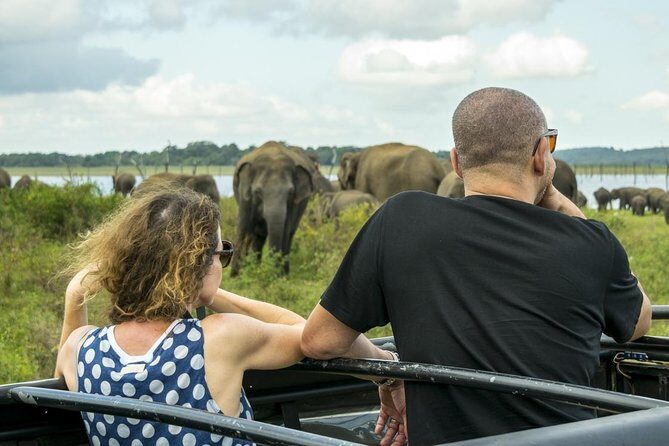 GO WILD! Double Safari Day Trip (Yala & Udawalawe) - Private & All Inclusive - The Bottom Line
