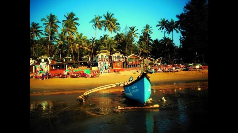 Goa: Baga Beach & The Basilica of Bom Jesus Highlights Tour - What the Tour Includes and Why It Matters