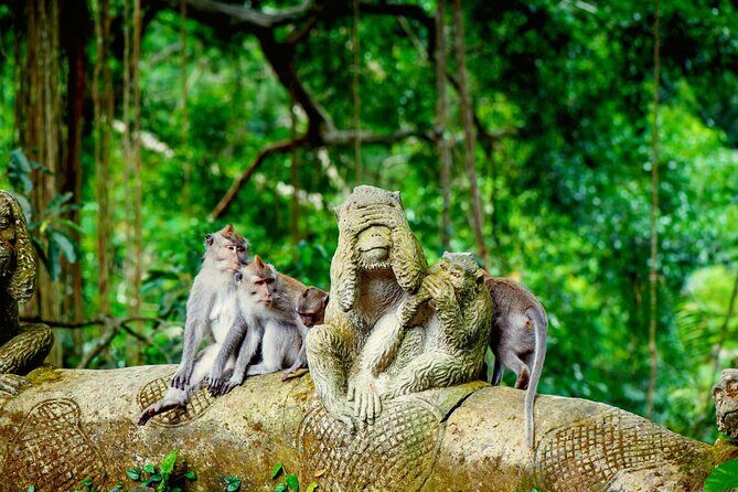 Goa Gajah / Elephant Cave Temple And Ubud Tour - All Inclusive - A Complete Day in Ubud: What to Expect