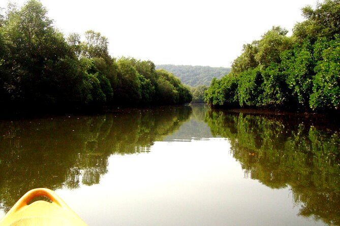Goa Kayaking Spike's Salonia Backwaters Kayaking Experience - Discovering Goa’s Backwaters on a Kayak