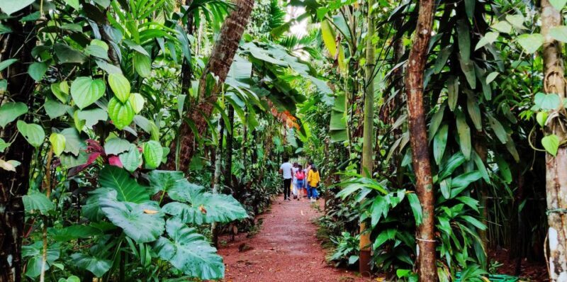 Goa: Private Full-Day Sightseeing Highlights Tour - Final Thoughts