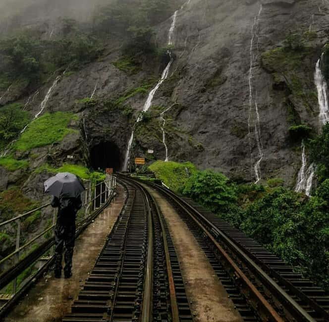 Goa: SIC Dudhsagar Waterfall and Spice Plantation Day Tour - What the Tour Includes and How It Works