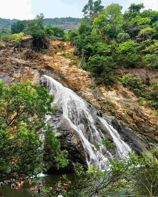 Goa: SIC Dudhsagar Waterfall and Spice Plantation Day Tour - How the Reviews Shape Our Perspective