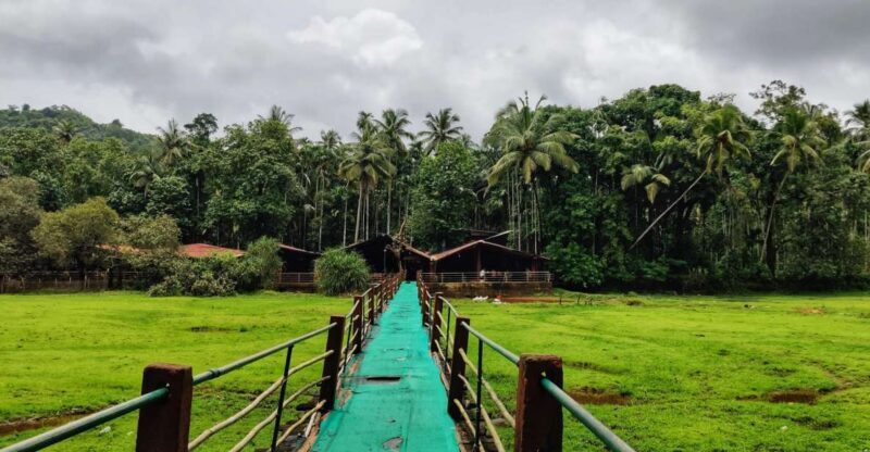Goa: Spice Plantation Tour and Traditional Local Lunch - Key Points