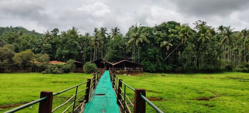 Goa: Spice Plantation Tour and Traditional Local Lunch - An In-Depth Look at the Spice Plantation Tour