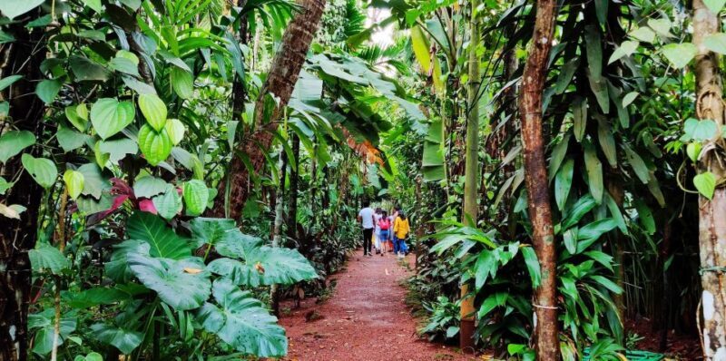 Goa: Spice Plantation Tour and Traditional Local Lunch - The Sum Up
