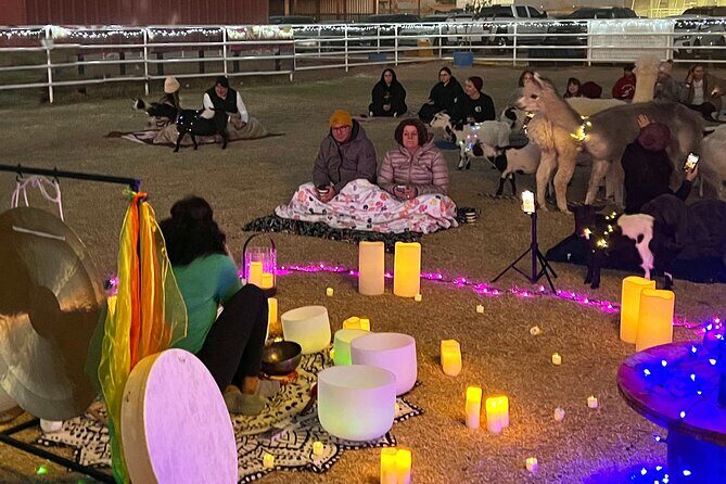 Goat and Alpaca Sound Bath - Gilbert Arizona - The Value of the Tour