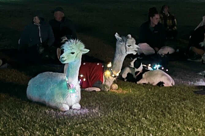 Goat and Alpaca Sound Bath - Gilbert Arizona - FAQs
