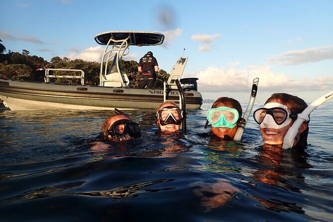 Goat Island Experience Guided Boat Snorkel Tour - Introduction: Why the Goat Island Guided Snorkel Tour Stands Out