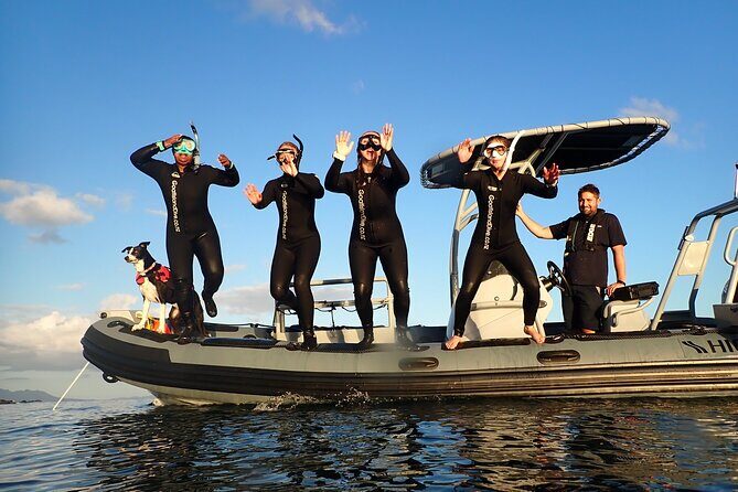 Goat Island Experience Guided Boat Snorkel Tour - What You’ll Love About the Goat Island Snorkeling Tour
