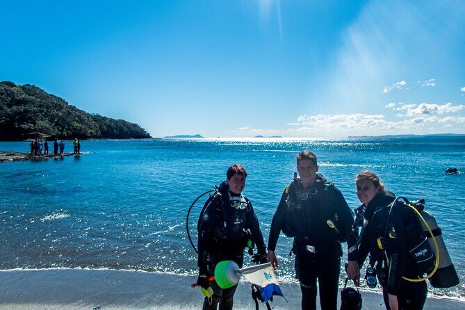 Goat Island Experience Guided Shore Dive - An Authentic Marine Adventure with Unmatched Marine Life