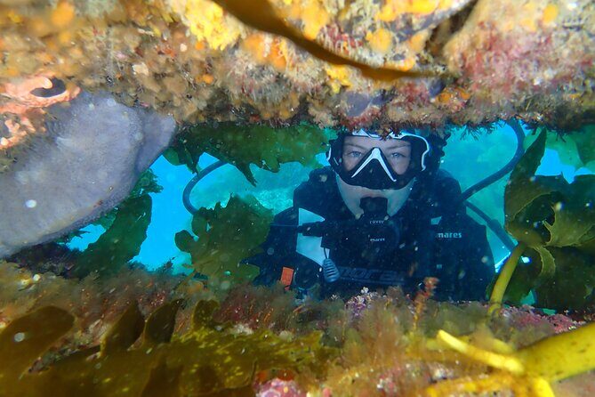 Goat Island Experience Guided Shore Dive - What Travelers Are Saying