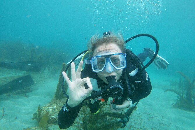 Goat Island Experience Guided Shore Dive - The Sum Up