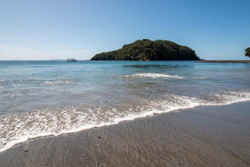 Goat Island: Glass Bottom Boat Tour - Key Points