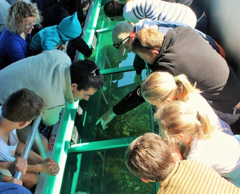 Goat Island: Glass Bottom Boat Tour - An Introduction to the Goat Island Glass Bottom Boat Experience
