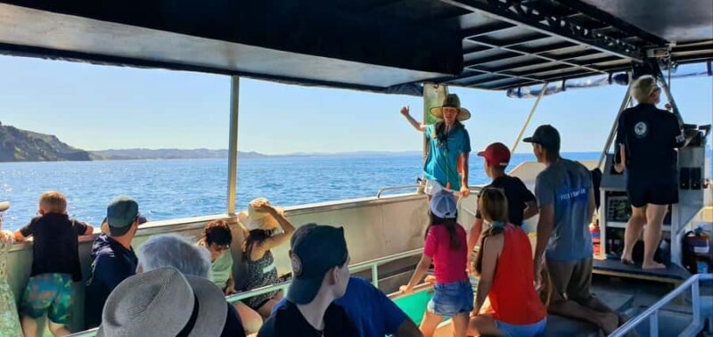 Goat Island: Glass Bottom Boat Tour - The Itinerary in Detail