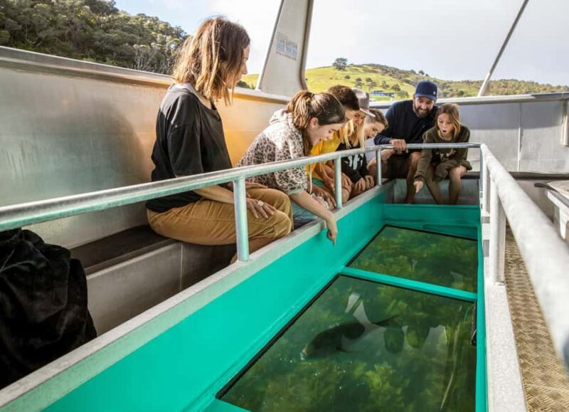 Goat Island: Glass Bottom Boat Tour - What to Expect on the Day