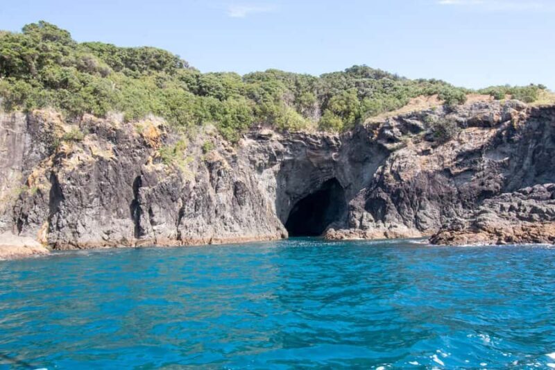 Goat Island: Glass Bottom Boat Tour - Authentic Feedback From Travelers