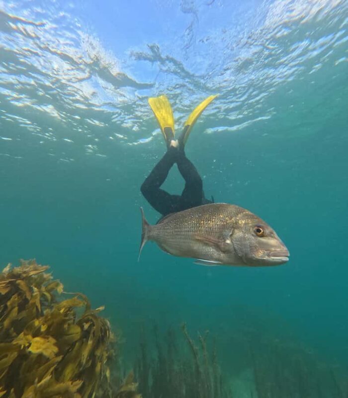 Goat Island Guided Snorkeling Tour for Beginners - Practical Details and Value