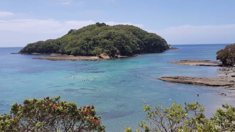 Goat Island Guided Snorkeling Tour for Beginners - Who Should Consider This Tour?