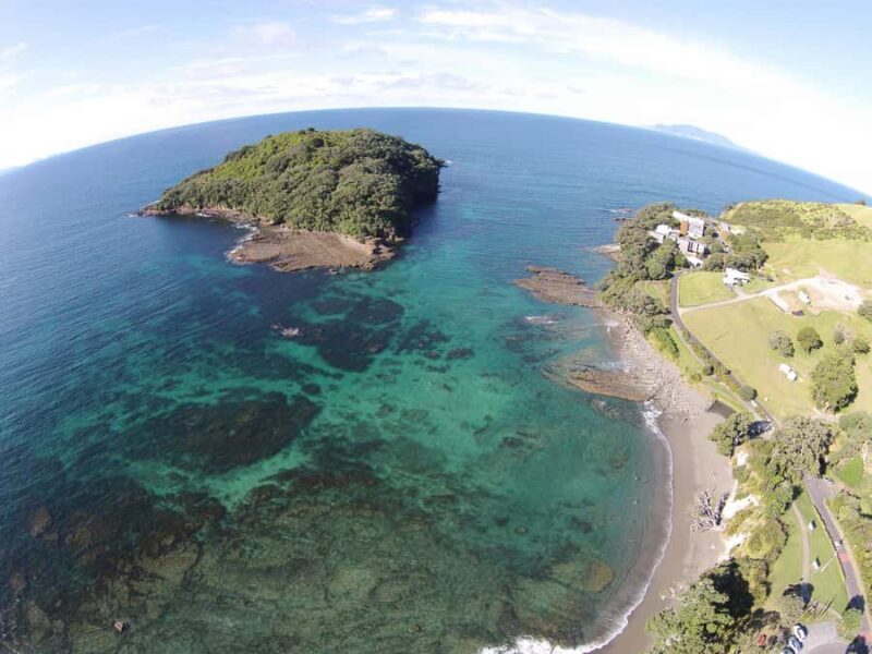 Goat Island Guided Snorkelling Tour For Advanced - An In-Depth Look at the Goat Island Advanced Snorkelling Experience