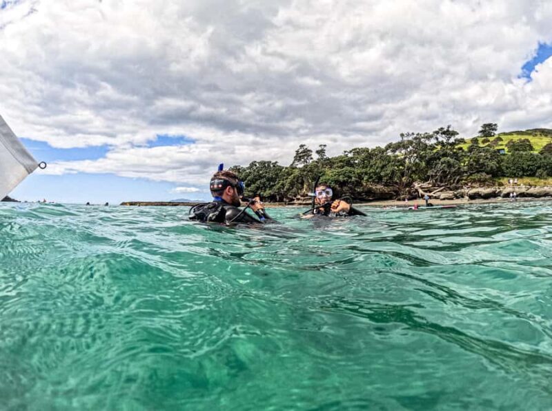Goat Island Try Scuba Diving Experience - Who Should Consider This Tour?