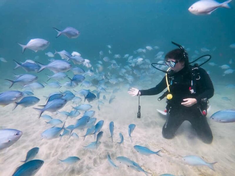 Goat Island Try Scuba Diving Experience - FAQ