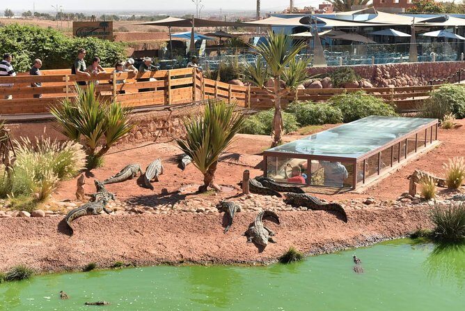 Goat on trees & Crocodile Park Including Tickets and Hotel Pickup - An In-Depth Look at the Crocoparc & Goat on Trees Tour